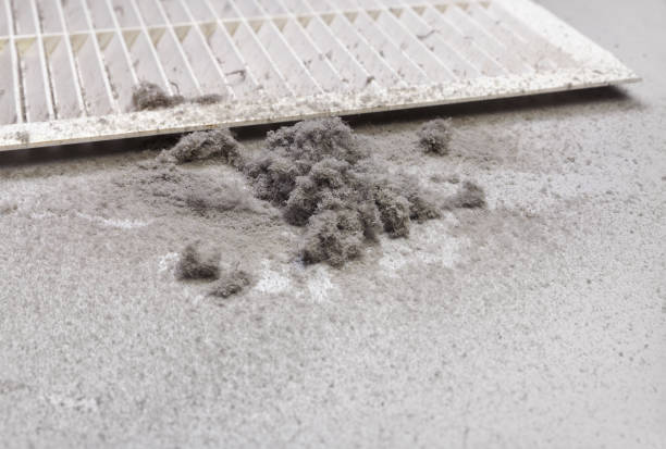 Best HVAC System Cleaning  in Mendota, IL
