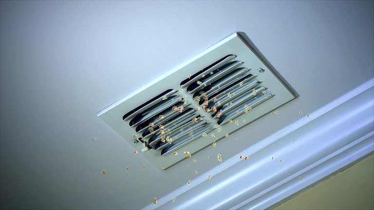 Best Professional Duct Cleaning Services  in Mendota, IL