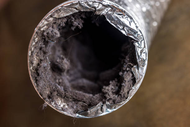 Best HVAC Air Duct Cleaning  in Mendota, IL